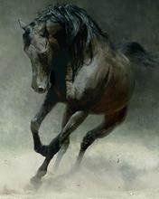 pic for black horse